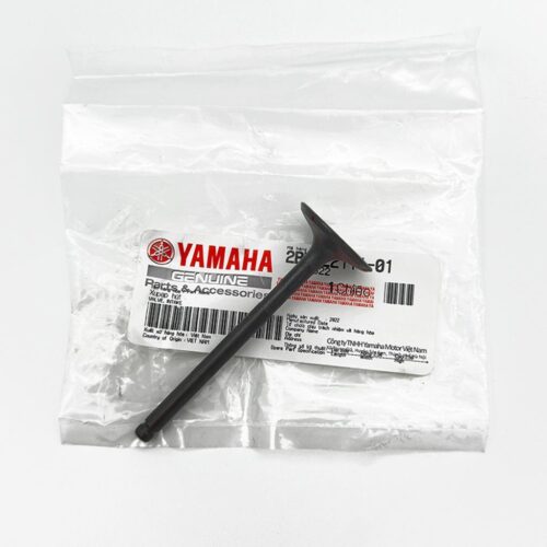 yamaha-delight-125-emme-subap-2bme21110100-4229.jpg