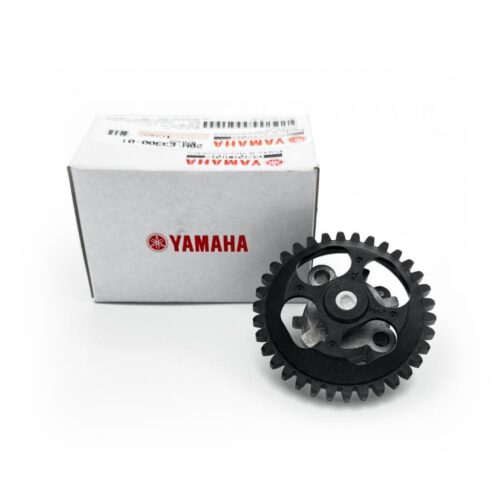 yamaha-delight-125-yag-pompasi-2bme33000100-4239.jpg
