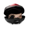 yamaha-50-lt-topcase-ve-kilit-mekanizmasi-34bf84a81000-7306.jpg