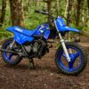 yamaha-pw50-cocuk-motosikleti-icon-blue-2026-8480.jpg